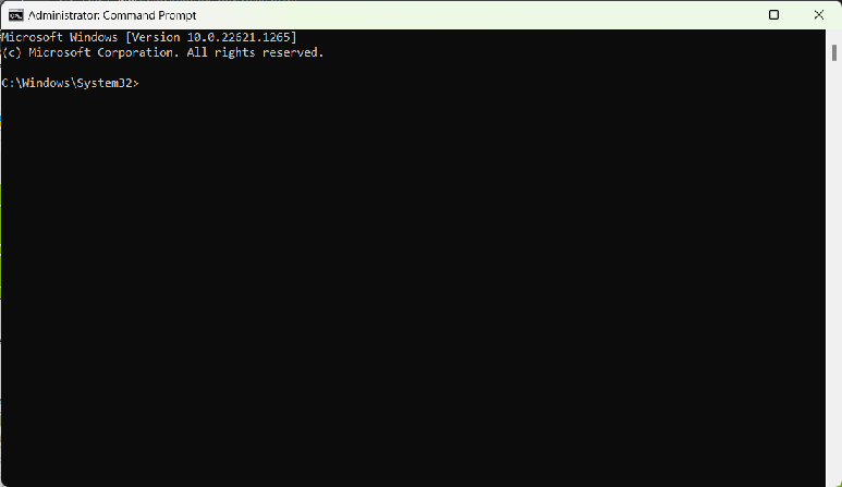 Command Prompt on Windows 11.